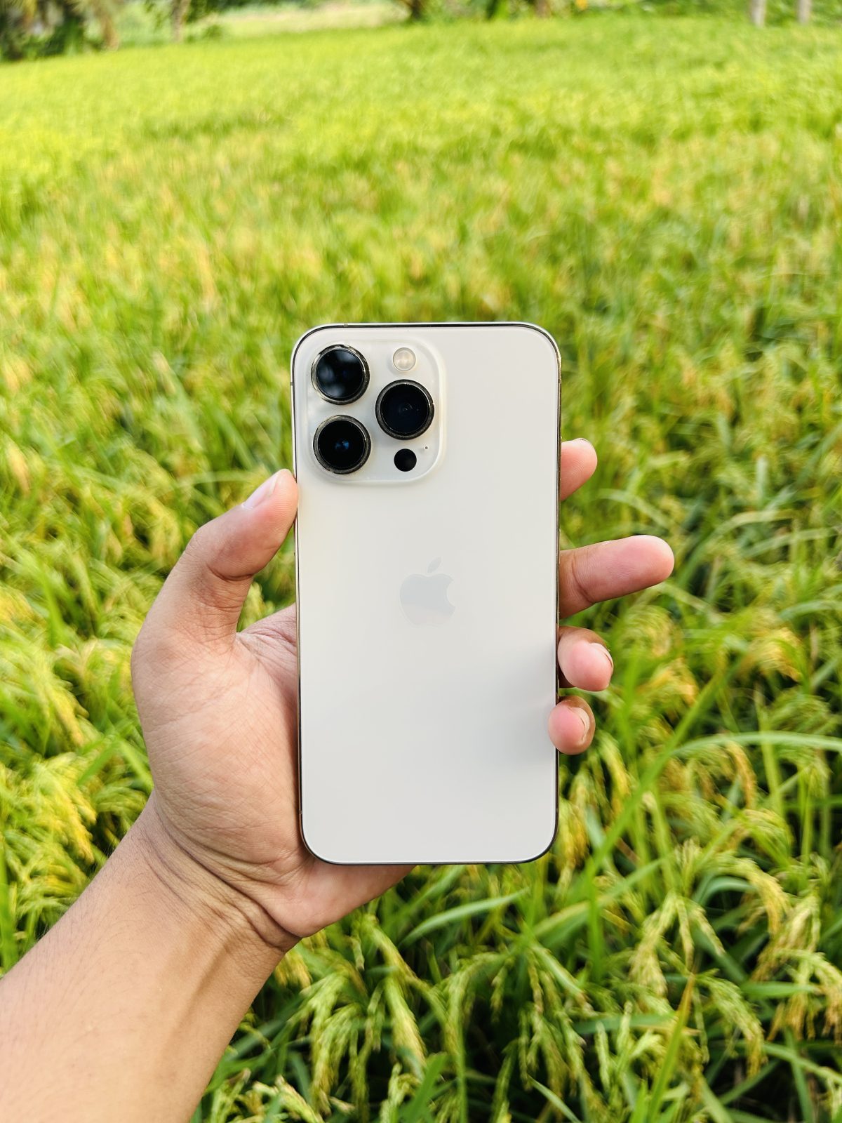 iPhone 13 Pro 256GB